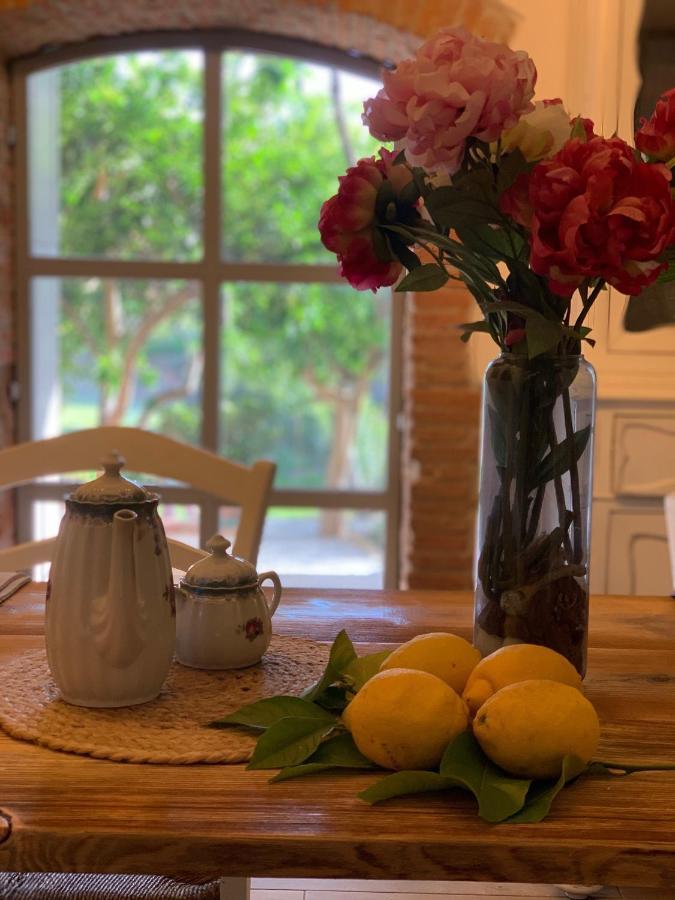 수베레토 Il Giardino Dei Limoni B&B 외부 사진